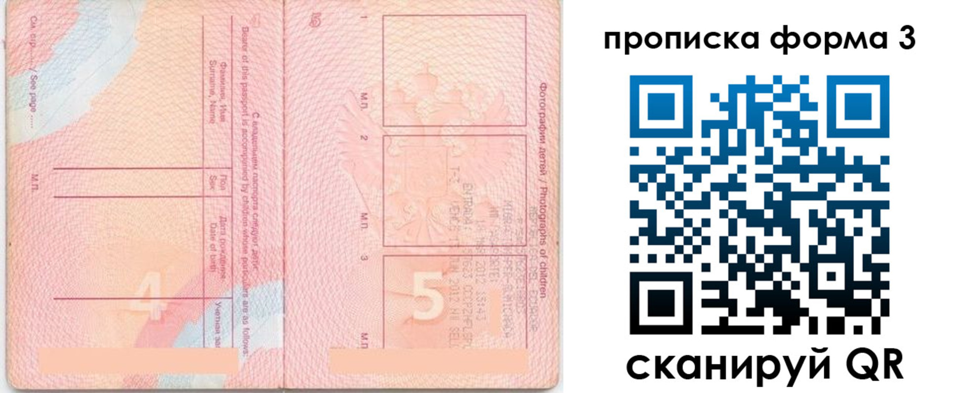 прописка регистрация в Советске
